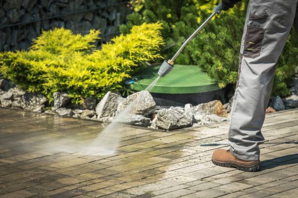 Best Solar Panel Cleaning  in Vassar, MI