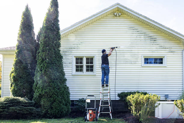 Best Roof Washing  in Vassar, MI