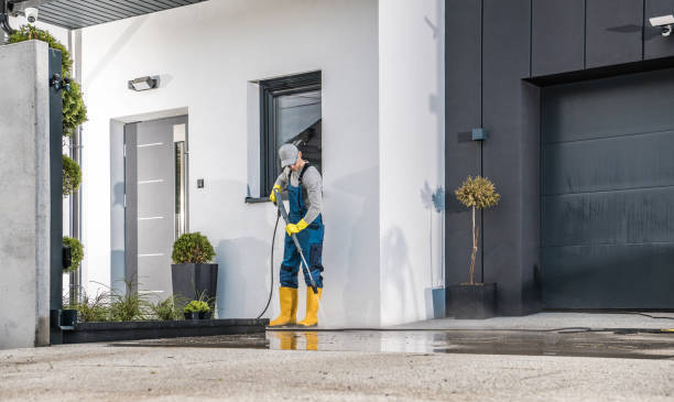 Best Fence Cleaning  in Vassar, MI